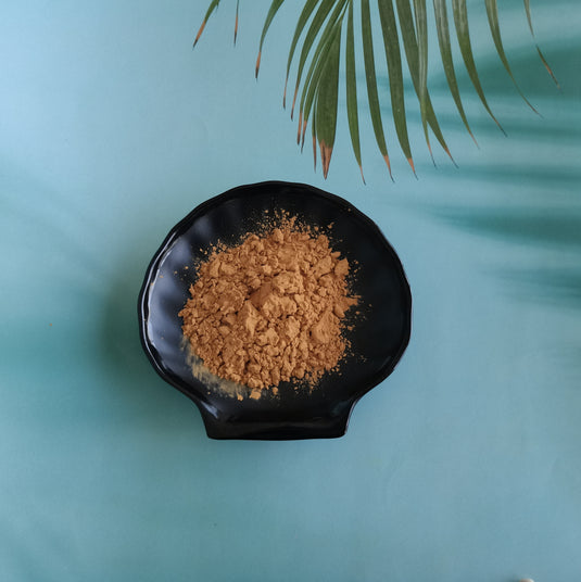 Black garlic extract powder