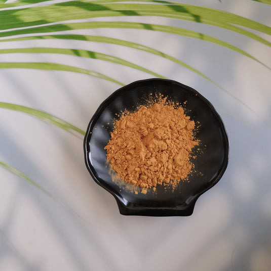 Black ginger extract powder
